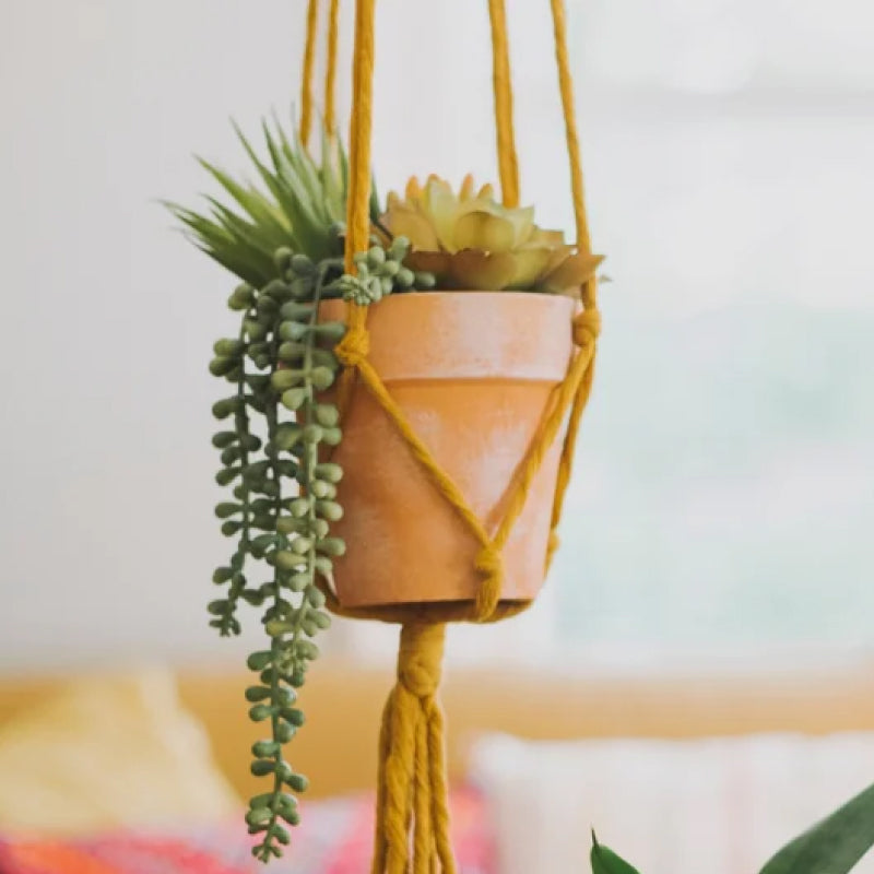 Cotton Rope Plant Hanger